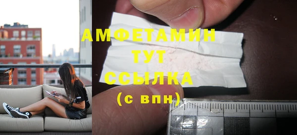 индика Балабаново