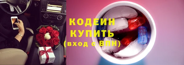 индика Балабаново
