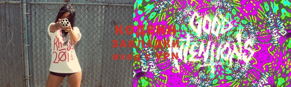 индика Балабаново