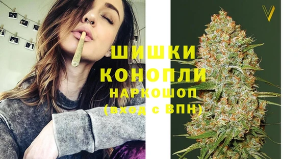 индика Балабаново