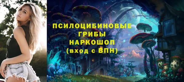 индика Балабаново