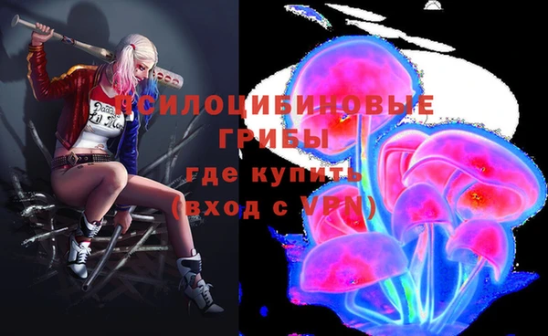индика Балабаново