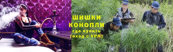 индика Балабаново