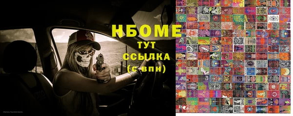индика Балабаново