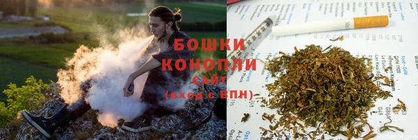 индика Балабаново
