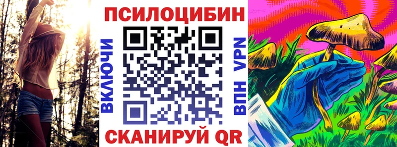 Галлюциногенные грибы Psilocybe блэк спрут ТОР Лагань закладки